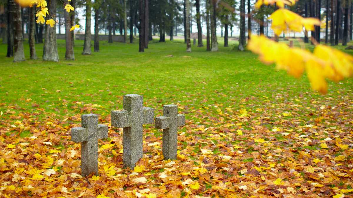 Featured image for “Tragedia en Sandy Hook”