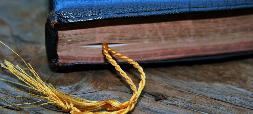 Featured image for “Gihón: fuente de agua”