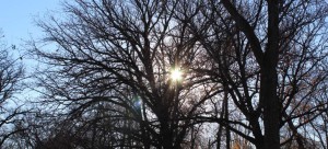 Cristo, la revelación perfecta de Dios