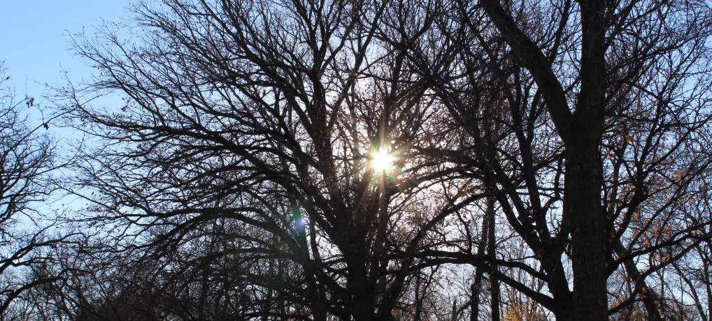 Cristo, la revelación perfecta de Dios