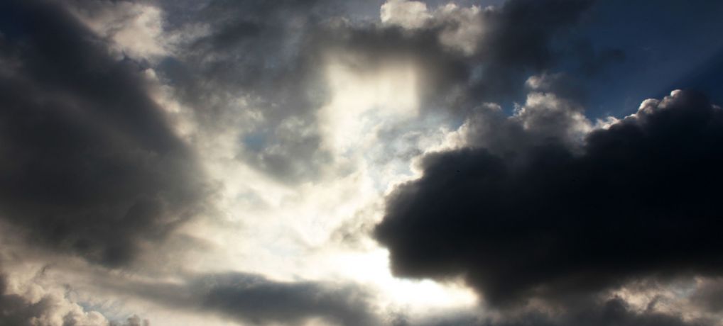 Enemigos en la tierra