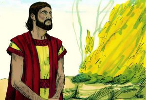 Abraham edifica un altar