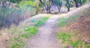 Los planes de Dios para mí