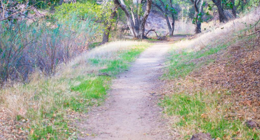 Los planes de Dios para mí