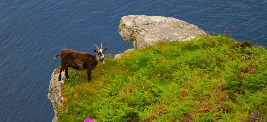 Qué tanto me puedo acercar al pecado