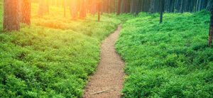 De ahora en adelante