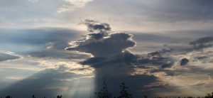 No temas, cree solamente