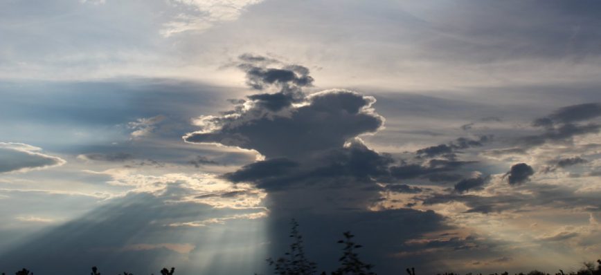 No temas, cree solamente