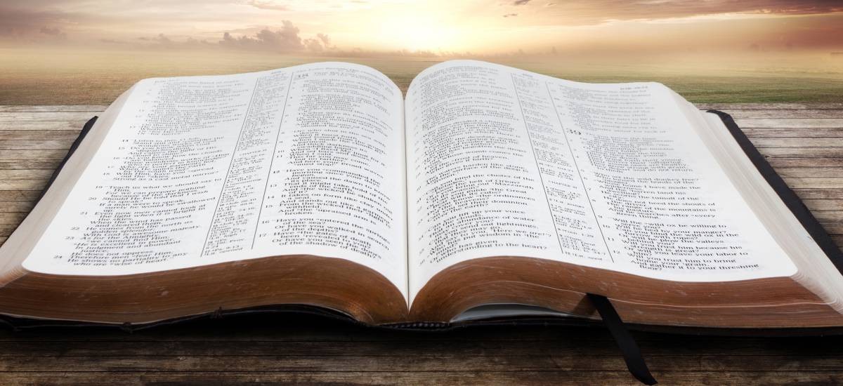 Estudiando la Biblia - salvo X gracia