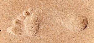 Estás buscando belleza