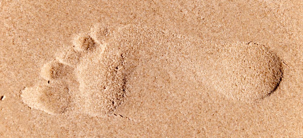 Featured image for “¿Estás buscando belleza?”