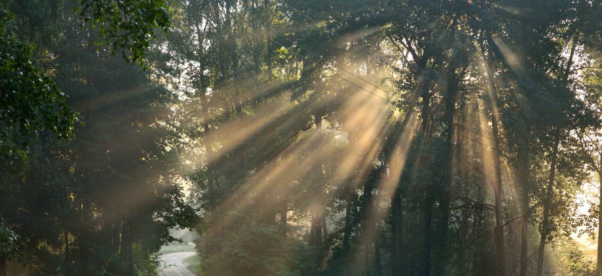 Featured image for “3 consejos para mejorar mi vida de oración”