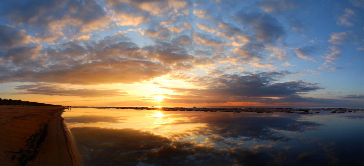 Featured image for “La Regla de Oro”