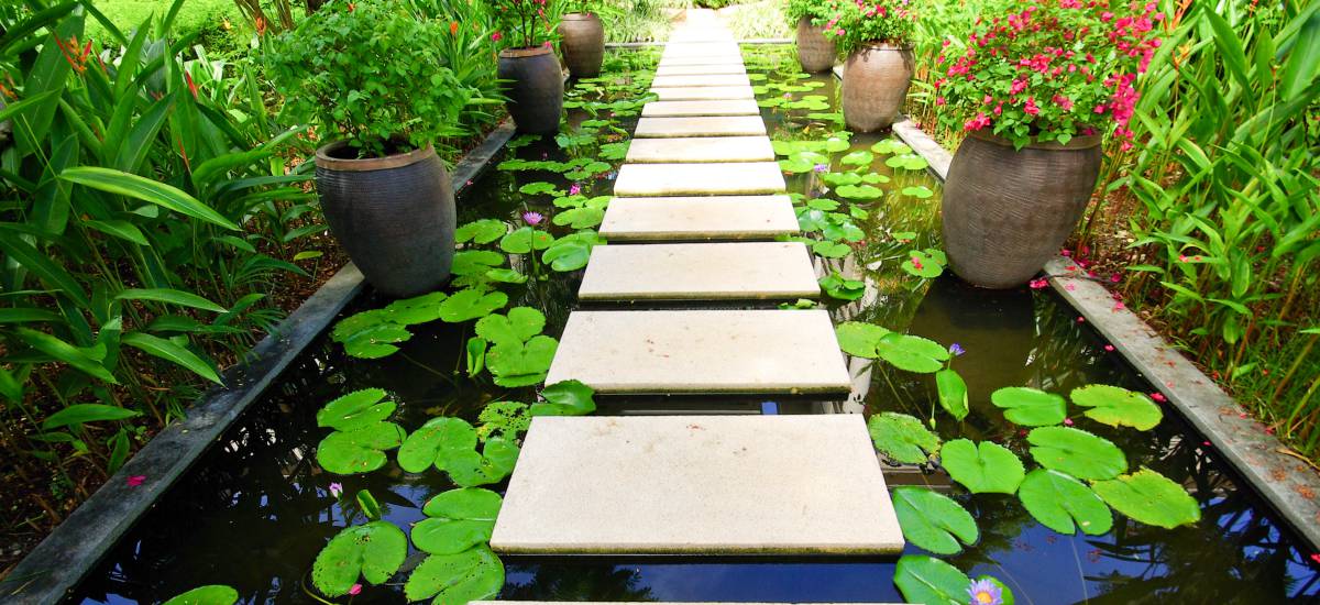 Featured image for “Un ejemplo de obediencia”