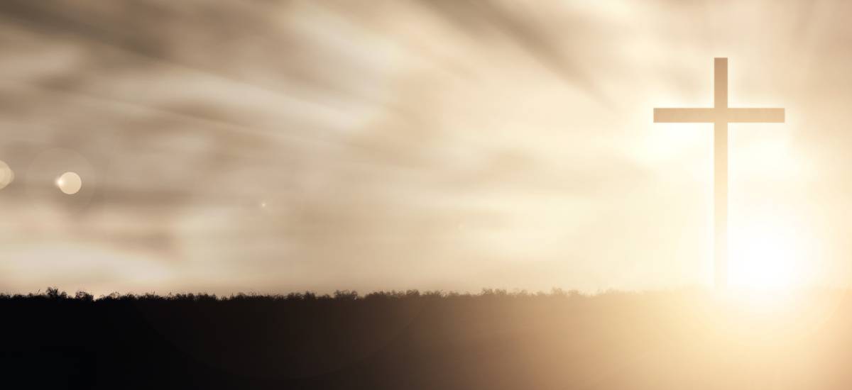 Featured image for “Sin atractivo”