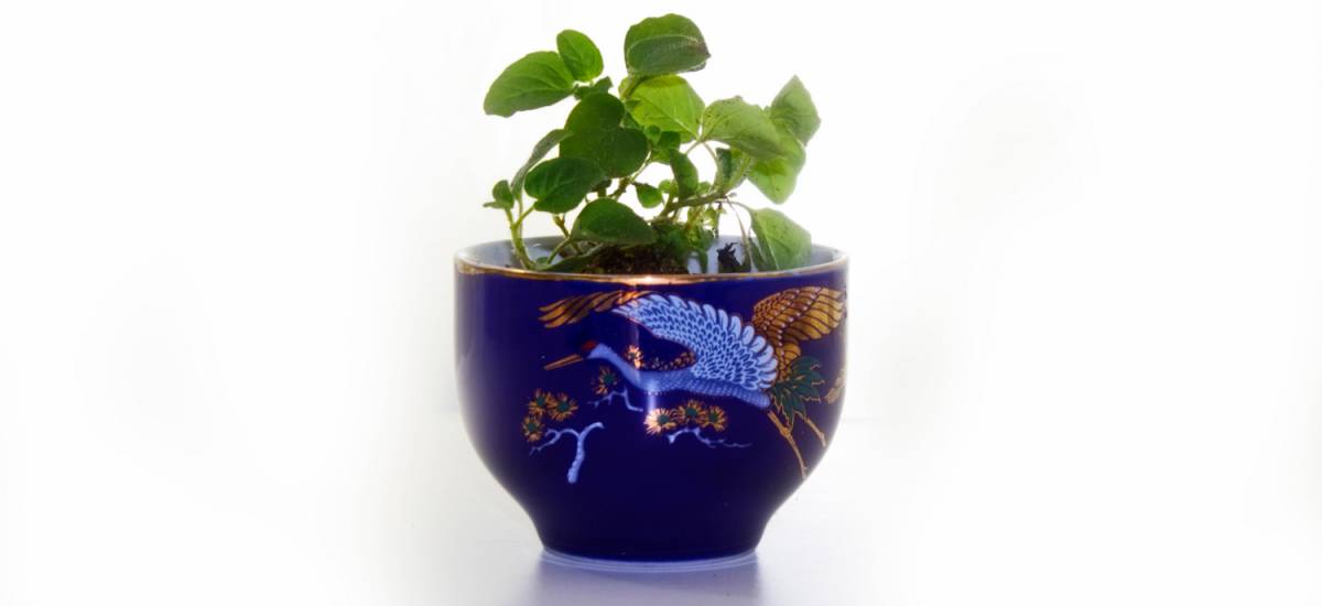 Featured image for “3 características de un creyente vivo”