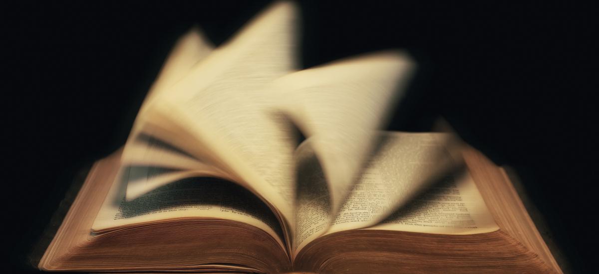 Featured image for “El tema principal de la Biblia”