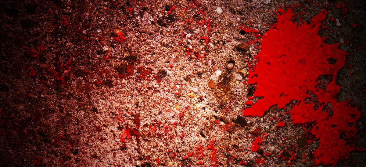 Featured image for “¿Por qué Dios no castiga la maldad inmediatamente?”