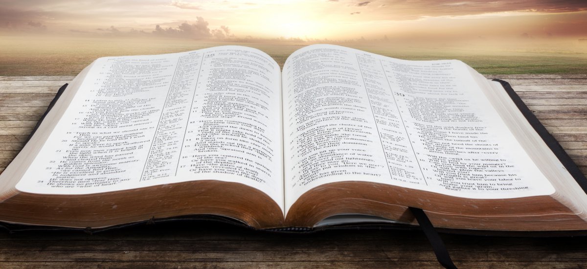 La Biblia - Sus Atributos - salvo X gracia
