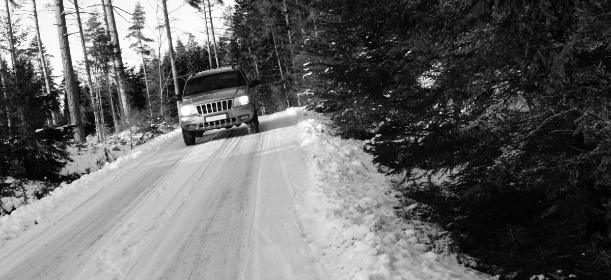 Featured image for “Camino a la libertad”