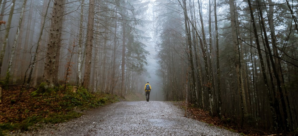 Featured image for “Caminando por lo desconocido”