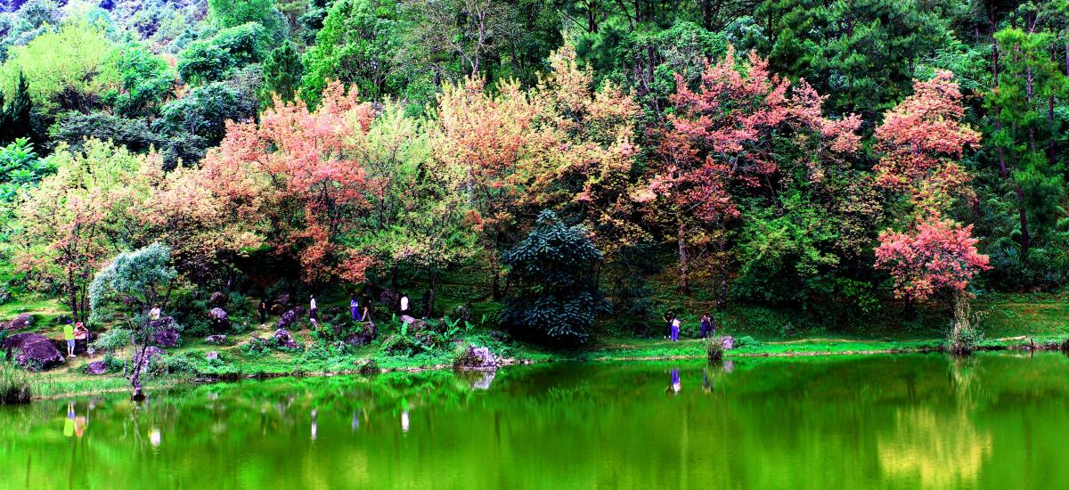 Featured image for “Él”