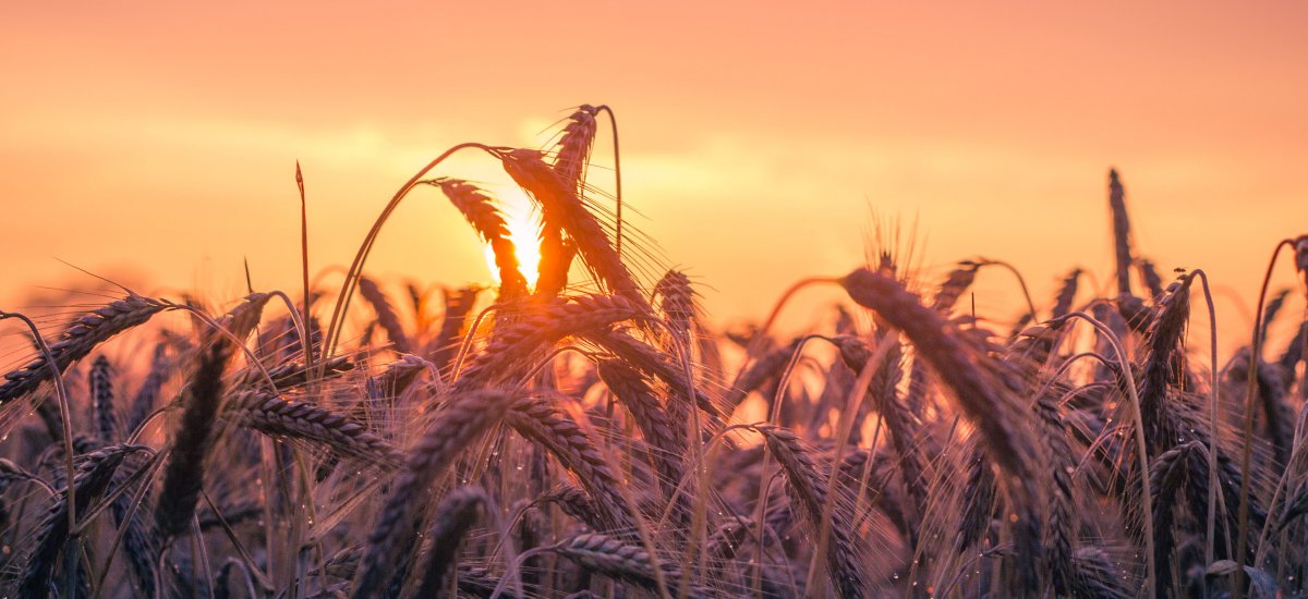 Featured image for “Paz, poder y prosperidad”