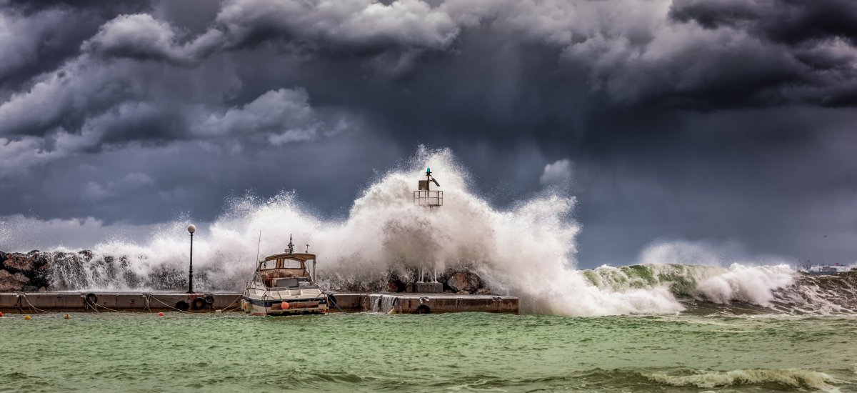 Featured image for “De buena gana”