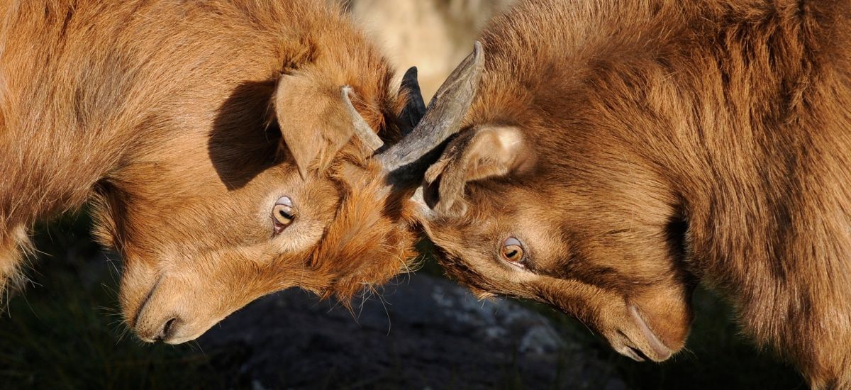 Featured image for “Cuando somos confrontados con la verdad”