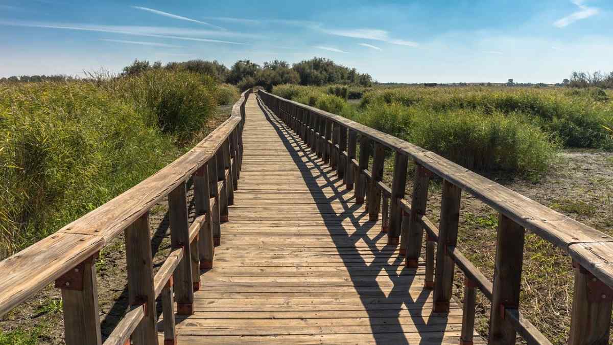 Featured image for “La Escuela de Dios – Aprendiendo de otros creyentes”