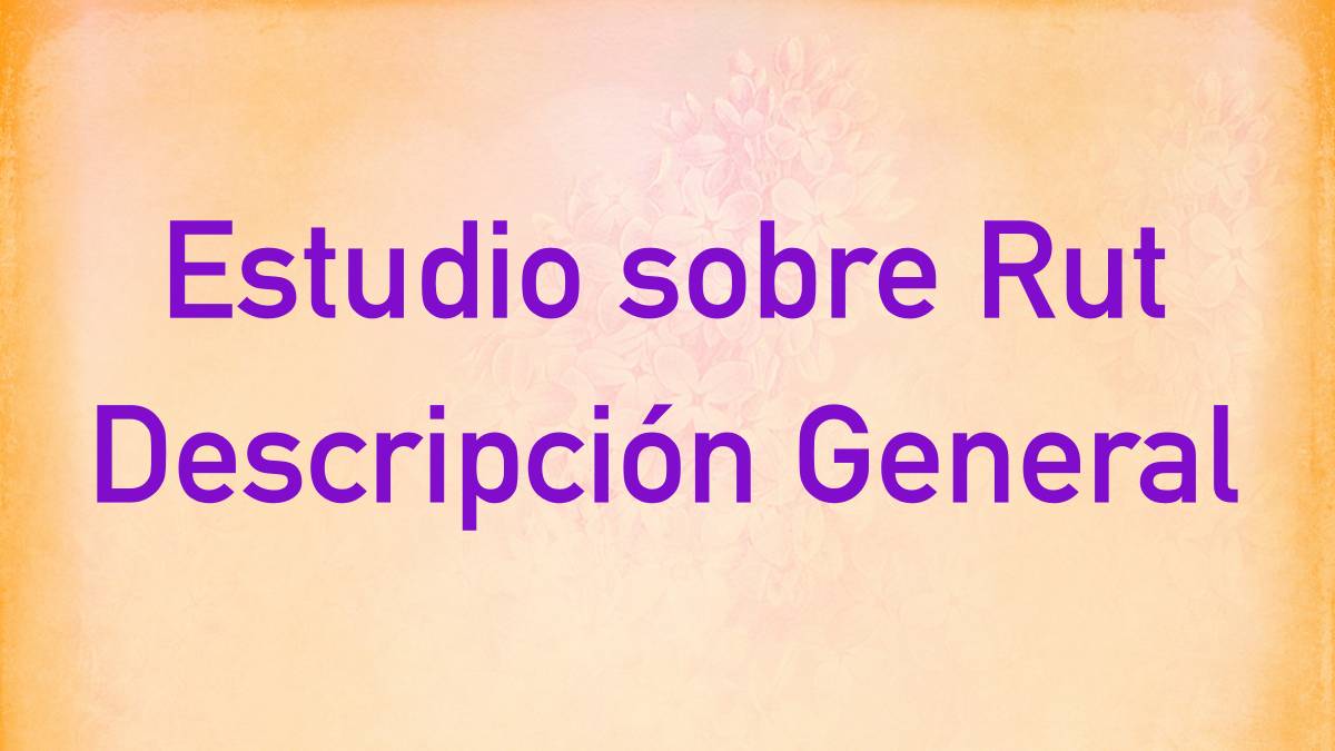 Featured image for “Rut – Descripción General”